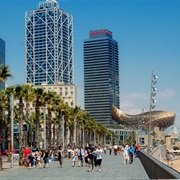 Port Olimpic (Barcelona)