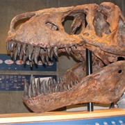 T.Rex Discovery Centre, Eastend, Saskatchewan