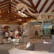 Museum of Northern Arizona, Flagstaff