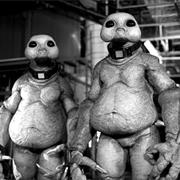 Raxacoricofallapatorins