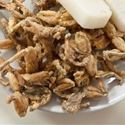 Fried Frog