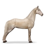 Tennessee Walker - Cremello
