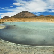 Salar De Surire, Chile