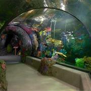 Virginia Aquarium