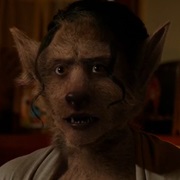 Coyotl - Coyote Wesen