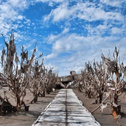 Epecuén, Buenos Aires, Argentina