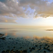 Horseshoe Beach, Florida