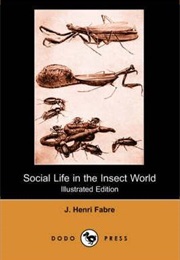Social Life in the Insect World (Jean-Henri Fabre)