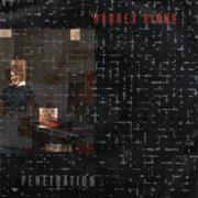 DANGER SIGNS - PENETRATION