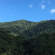 Trinidad and Tobago: El Cerro Del Aripo (3,084 Ft)
