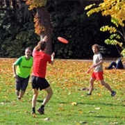 Join a Sports League