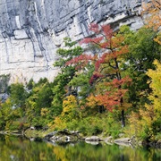 Roark's Bluff