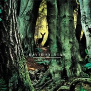 David Sylvian - Manafon