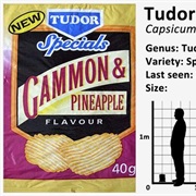 Tudor Crisps