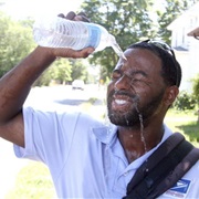Leave a Treat for Your Mail Carrier
