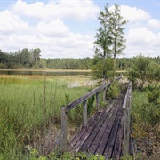 Cross Bar Ranch Wellfield, Florida