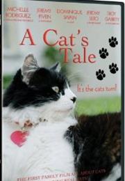 A Cat's Tale