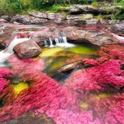 Cano Cristales, Colombia