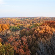 Martin State Forest, Indiana