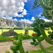 Suesca Natural Wall, Cundinamarca