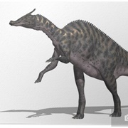 Saurolophus