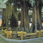 Fresno Yosemite International Airport