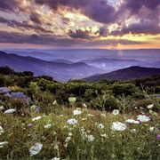 Shenandoah National Park & Appalachia, USA