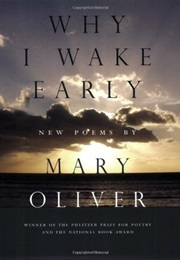 Why I Wake Early (Mary Oliver)