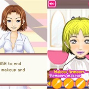 Picture Perfect Pocket Stylist