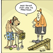 You Can't Teach an Old Dog New Tricks