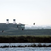 Rainham Marshes