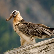 Sierra De Guara Natural Park, Spain