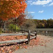 Find Nature in Your Backyard at Kensington Metropark