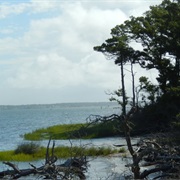 Theodore Roosevelt State Natural Area, North Carolina
