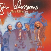 Mrs. Rita - Gin Blossoms