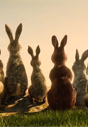 Watership Down (2018)