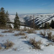 Blue Mountain Forest State Scenic Corridor, Oregon