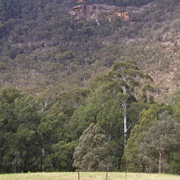Bangadilly National Park (NSW)