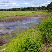 Eufaula National Wildlife Refuge