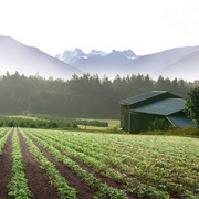 Cascade Farm Organic (Rockport, Washington)