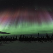 See the Aurora Borealis