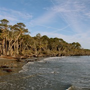 Hunting Island State Park, South Carolina