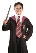 Harry Potter Character