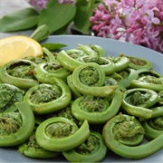 Fiddleheads