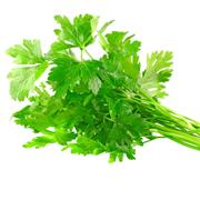 Chervil