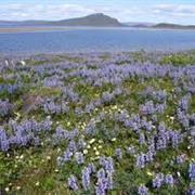 Bathurst Inlet Lodge, Nunavut