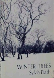 Winter Trees (Sylvia Plath)