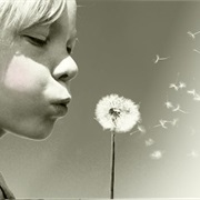 You Come From a Broken Family