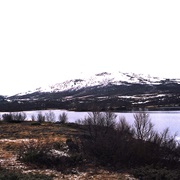 Dovrefjell–Sunndalsfjella National Park