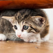 Get Anxiety Under Control